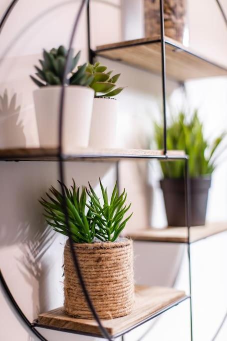 Forest Chic : Maison San Marina Apartman Parmain Kültér fotó